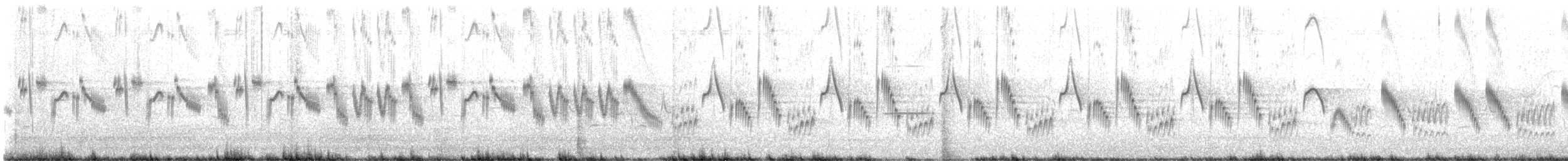 Hegatxabal arrunta (japonica/intermedia) - ML638173444