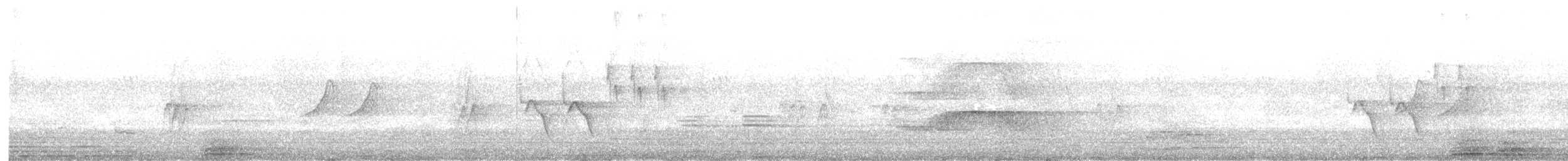 White-browed Wagtail - ML638173529