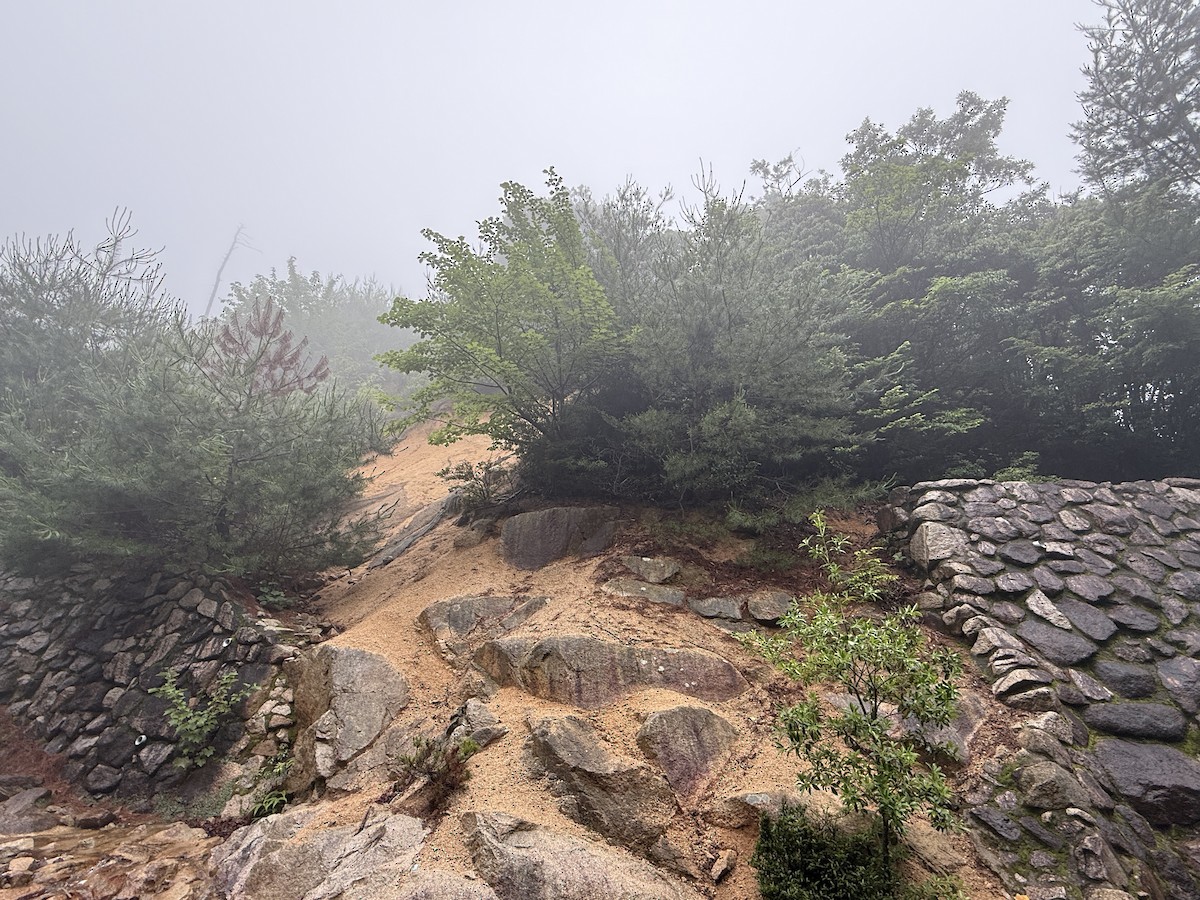 null - ML638174090