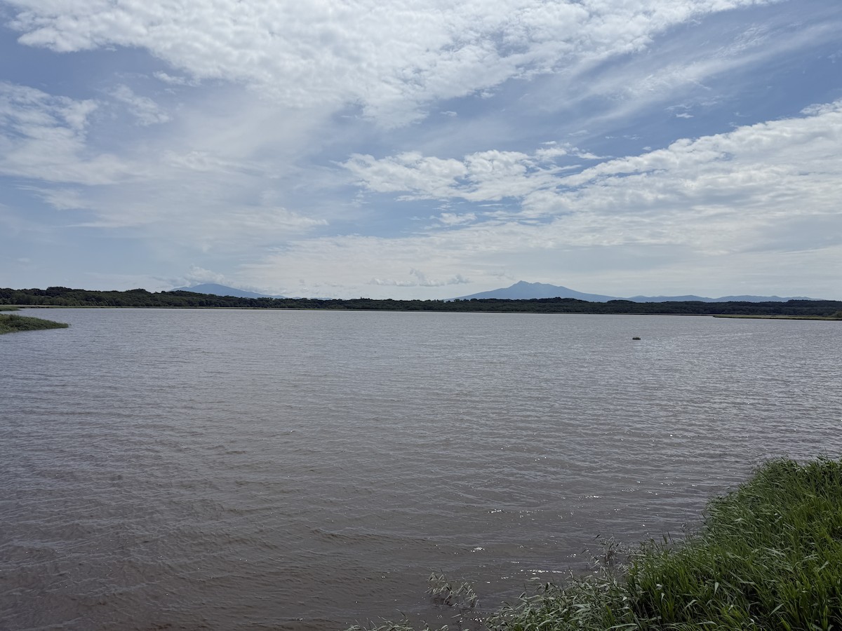 null - ML638174190