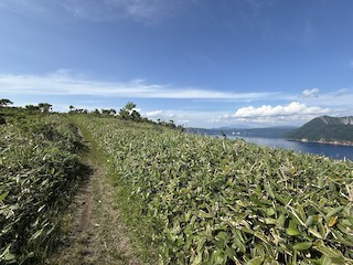 弟子屈町--摩周湖第一展望台(Teshikaga--Lake Mashu 1st Observation
