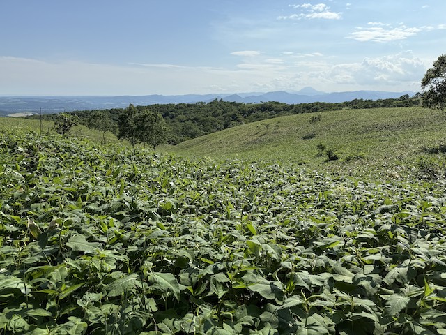 弟子屈町--摩周湖第一展望台(Teshikaga--Lake Mashu 1st Observation