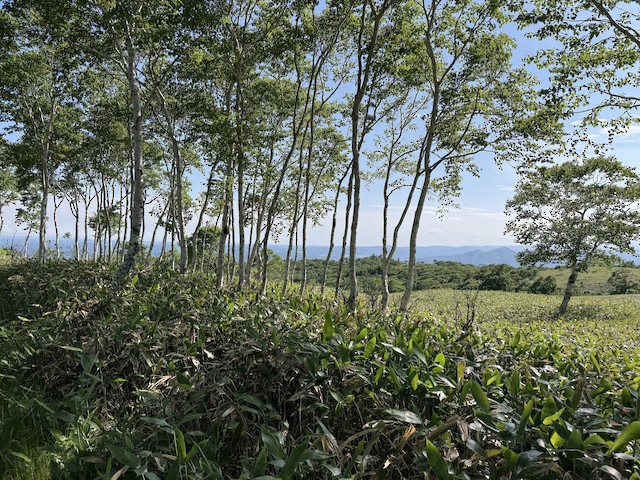弟子屈町--摩周湖第一展望台(Teshikaga--Lake Mashu 1st Observation