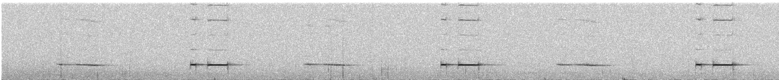 Equatorial Antpitta - ML638174538