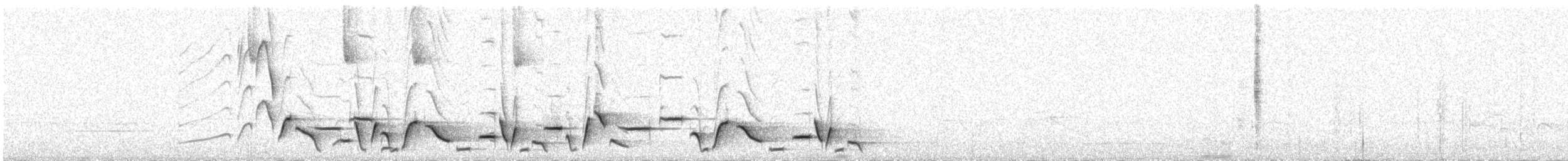 Whiskered Wren - ML638174688