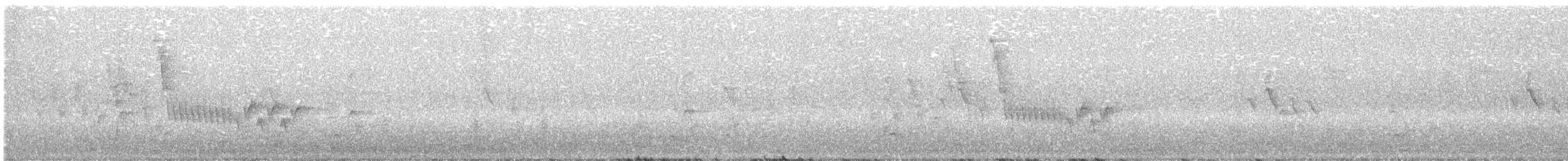 Northern House Wren - ML638175131