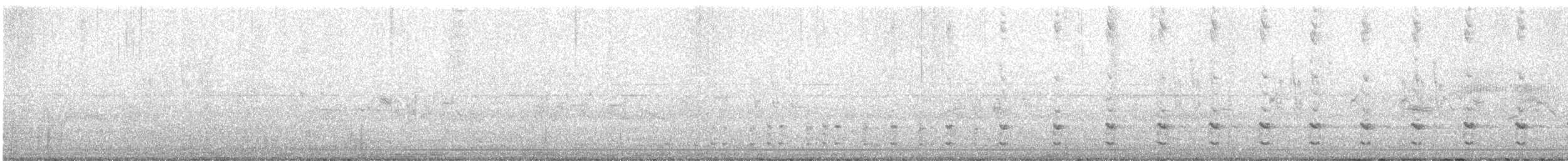 Agachadiza de Wilson - ML638175345