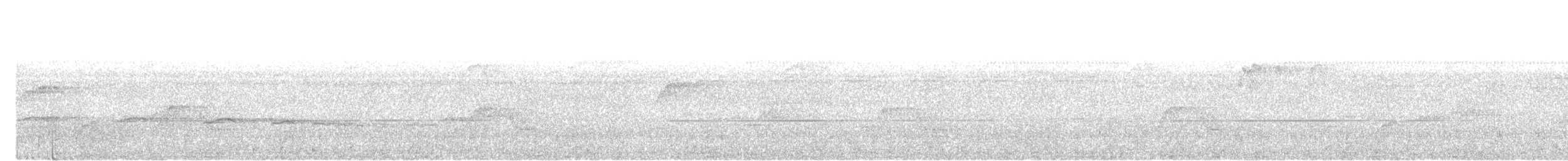Plaintive Cuckoo - ML638175561