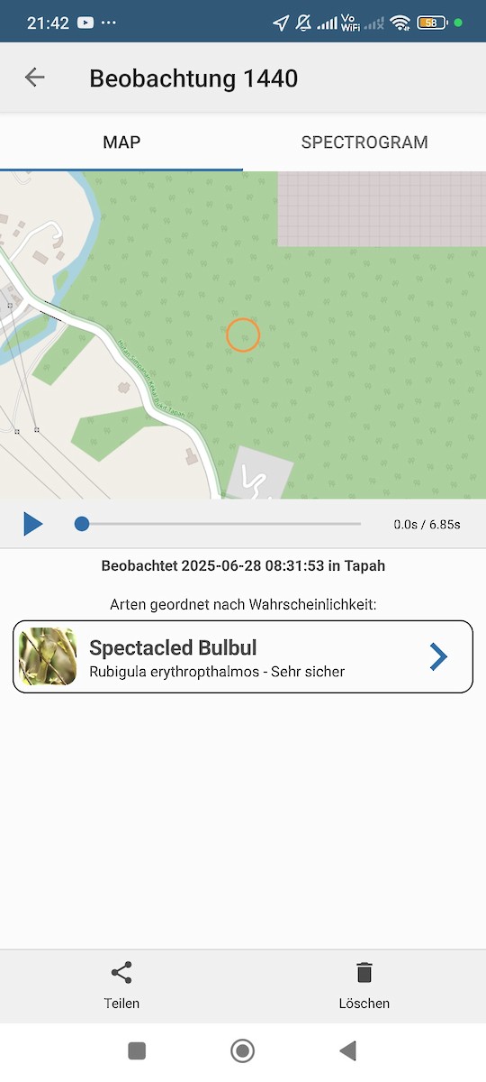 bulbul brýlatý - ML638175819