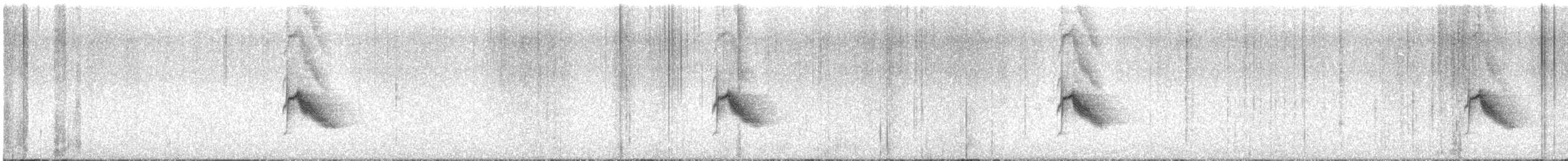 Bicknell's Thrush - ML638176182