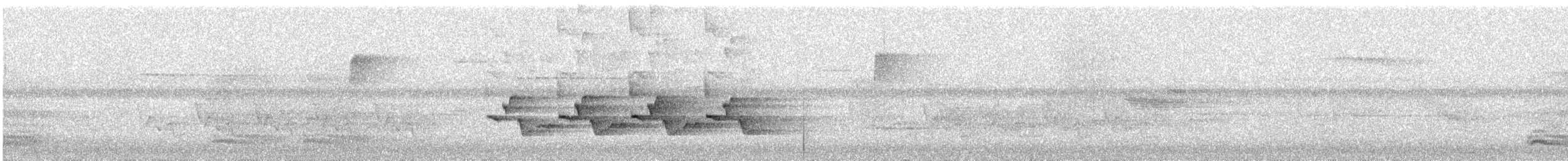Carolina Wren - ML638176372
