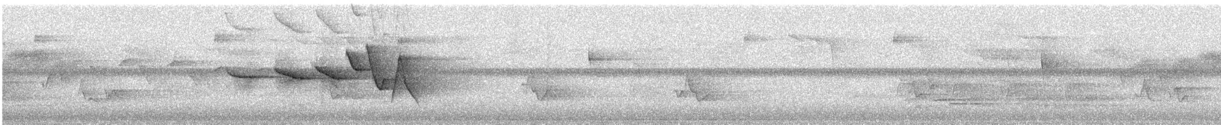 Swainson's Warbler - ML638176408