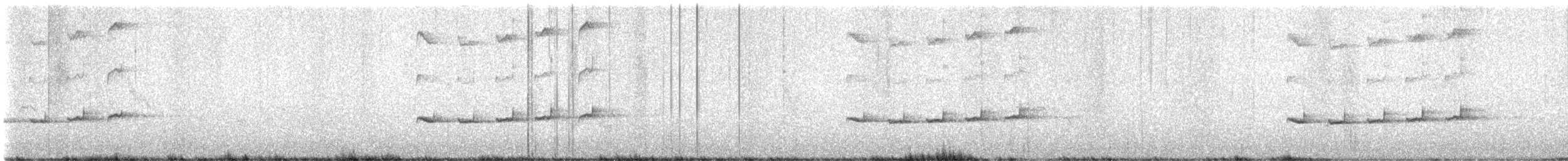 Square-tailed Drongo-Cuckoo - ML638178568
