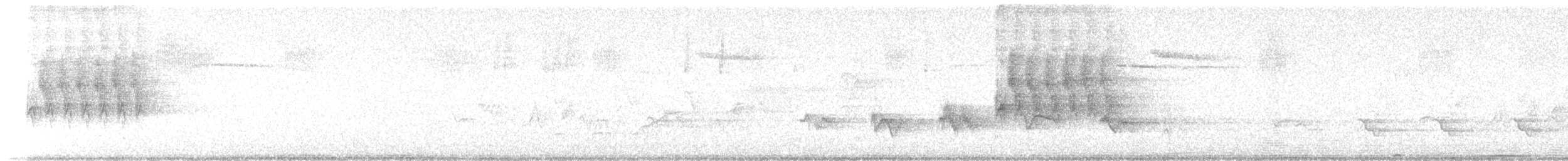 Band-tailed Pigeon - ML638178589