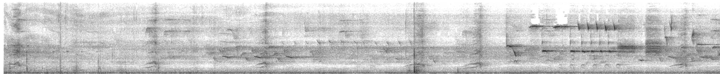 Ahate karolinarra - ML638178841