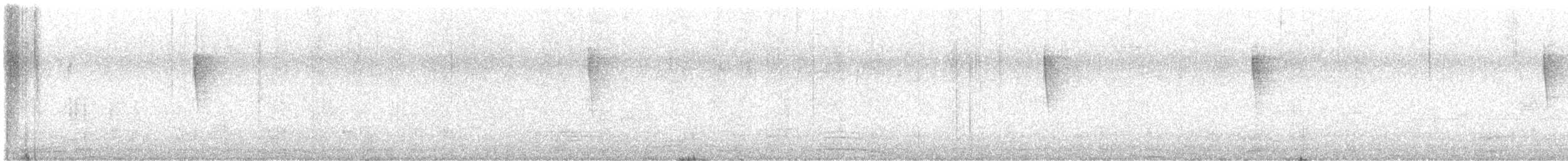סבכון חכלילי - ML638178849