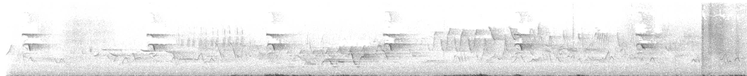 Дрозд Свэнсона - ML638179204