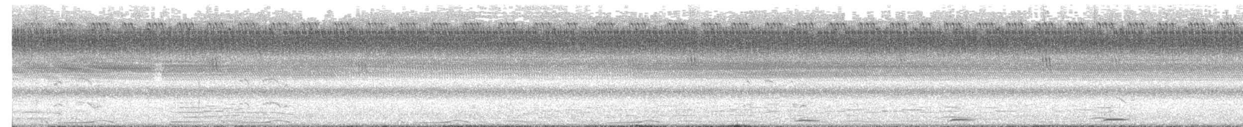 Greater Painted-Snipe - ML638179380