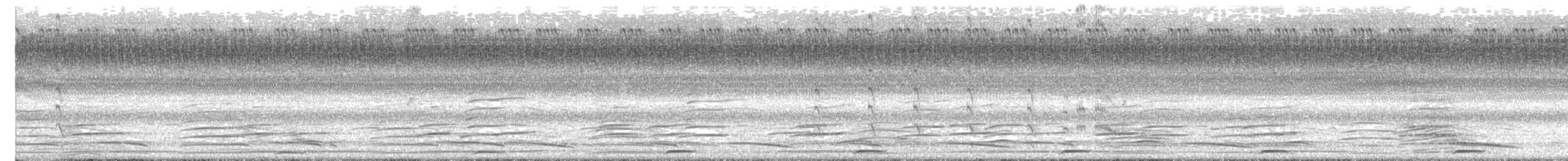 Greater Painted-Snipe - ML638179381