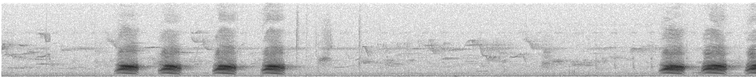 Large-billed Crow - ML638179402