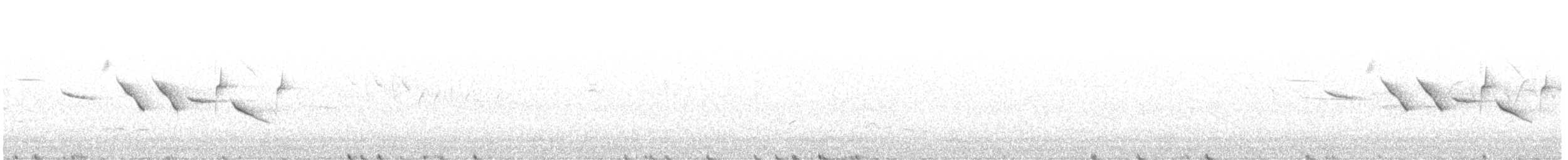 American Tree Sparrow - ML638179801