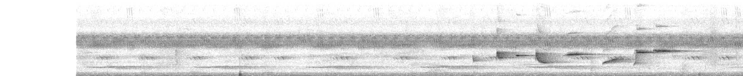 Spot-breasted Fantail - ML638180412
