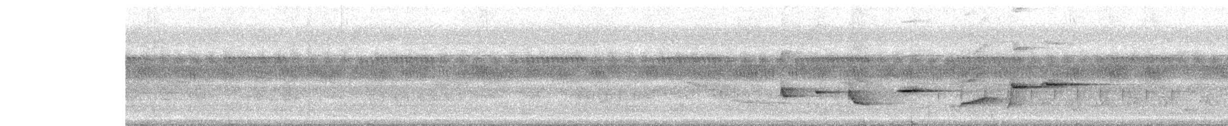 Spot-breasted Fantail - ML638180874