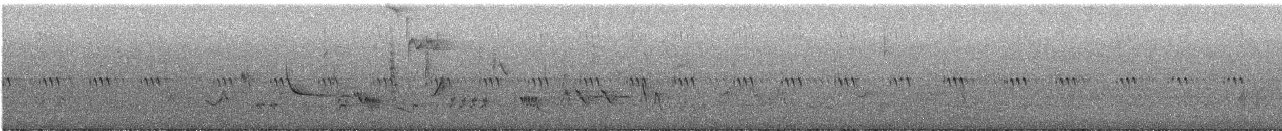 Orchard Oriole - ML638182073