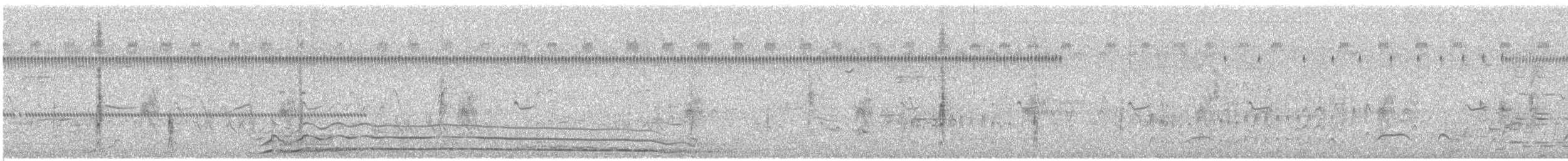 Coyote - ML638183169