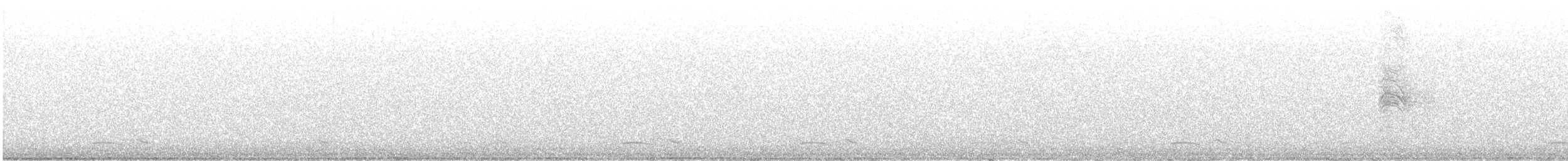 Common Poorwill - ML638183229
