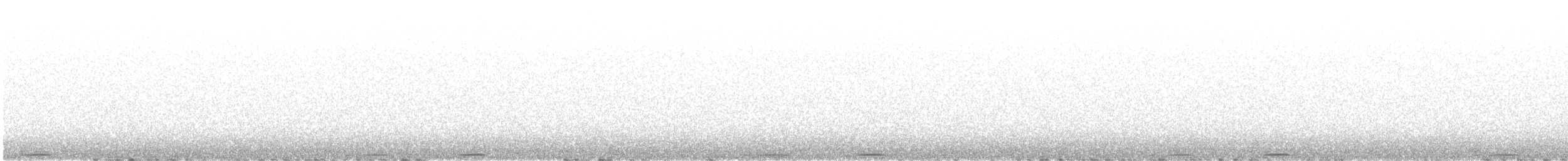 アメリカコノハズク - ML638183606
