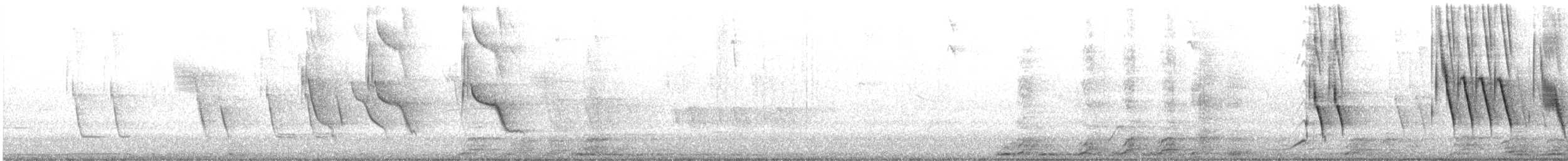 Scrub Blackbird - ML638183807