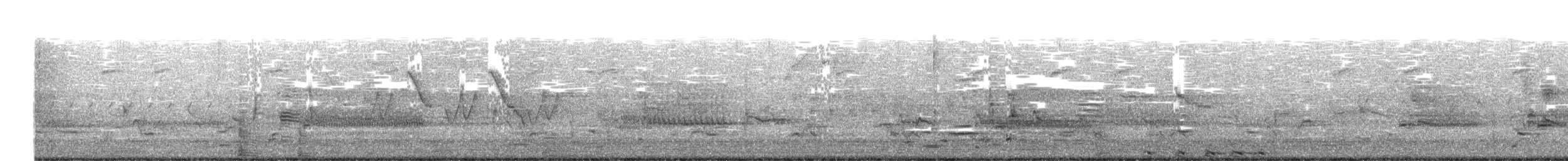 Least Bittern - ML638186461