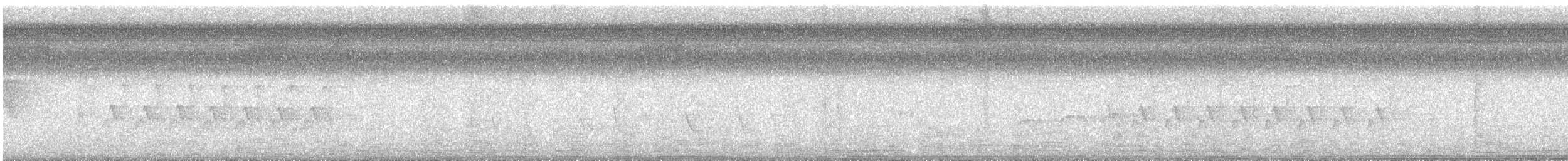 Swainson's Warbler - ML638187172