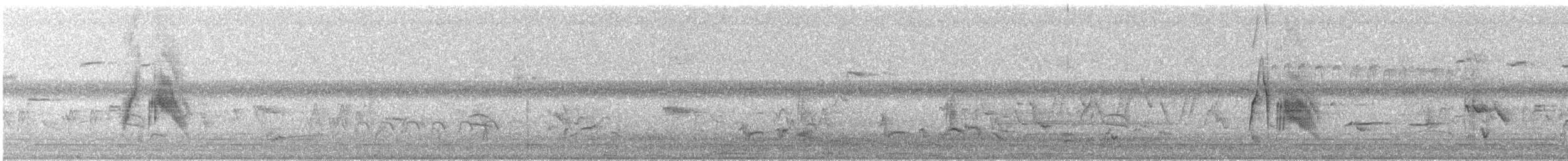 vierempid - ML638187685