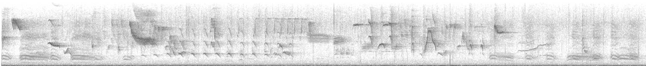 שלך (carolinensis) - ML638189551