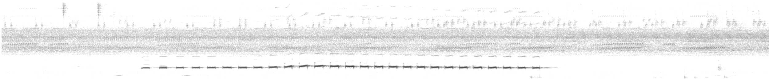 Rufous-fronted Antthrush - ML638189819