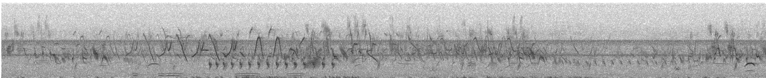 amerikahubro - ML638191159