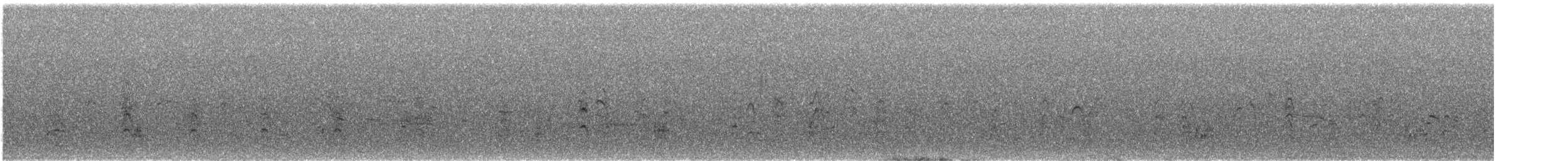 Snowy Plover - ML638191295