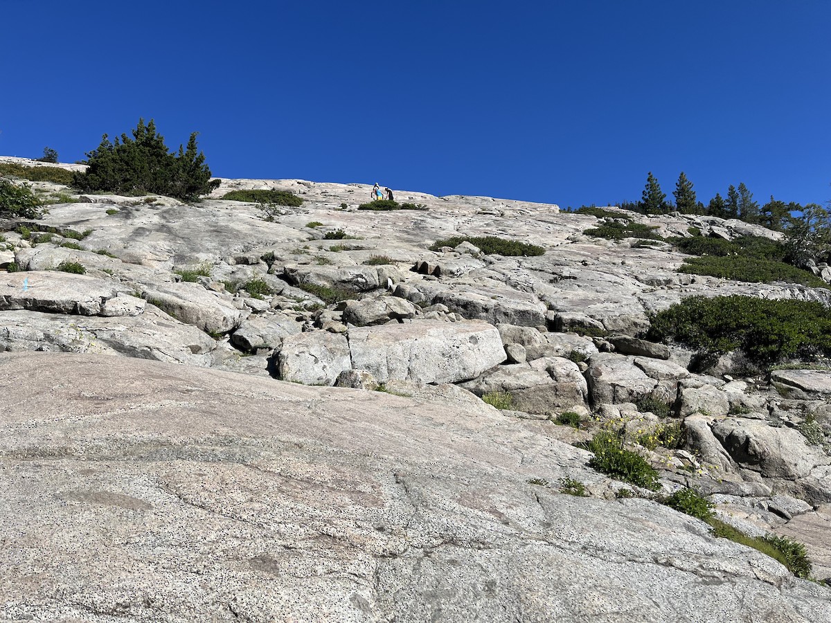 null - ML638191694