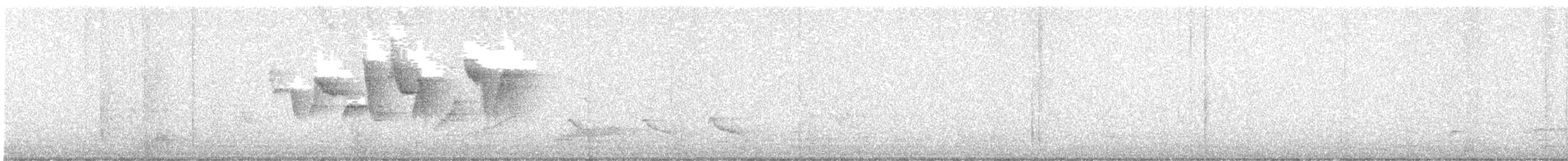 Canada Warbler - ML638192571