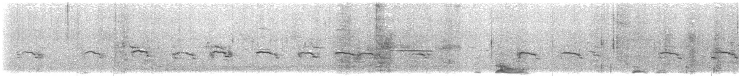 Marbled Murrelet - ML638193589