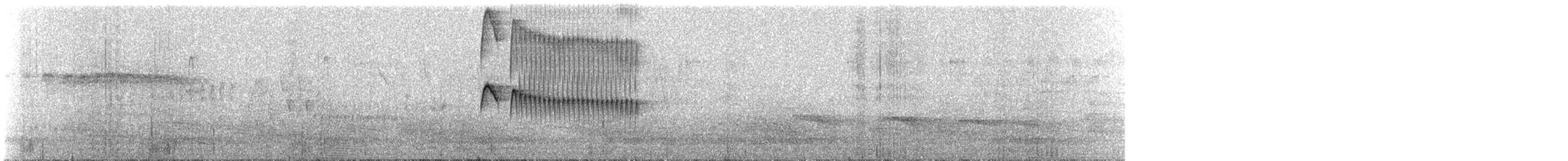 Straneck's Tyrannulet - ML638193775