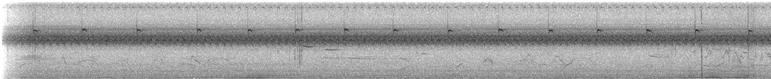 White-tailed Goldenthroat - ML638194643