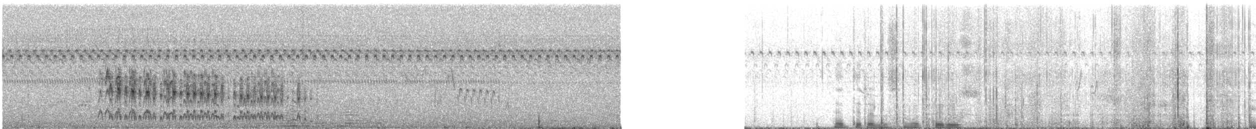 Rufous-faced Crake - ML638194889