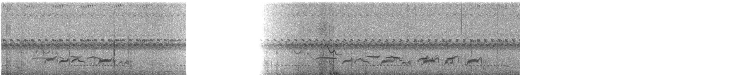 Streamer-tailed Tyrant - ML638194984