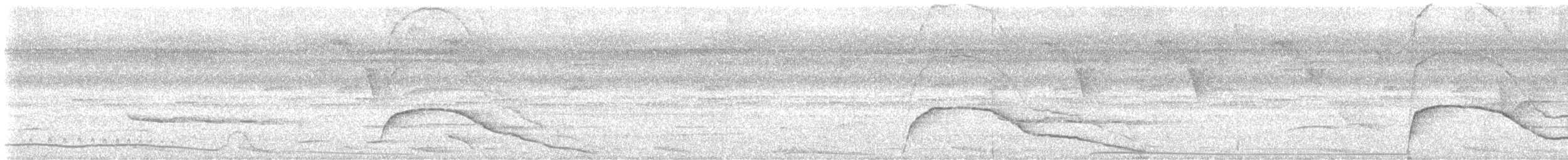 Blaulappenhokko - ML638195195