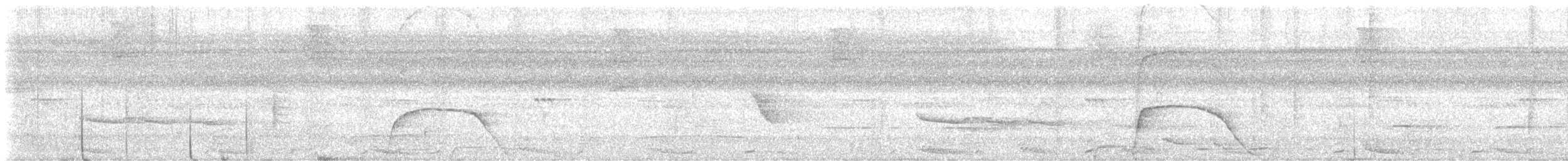 Blaulappenhokko - ML638195289