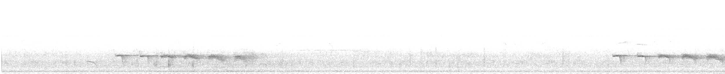 Peruvian Warbling-Antbird - ML638195743
