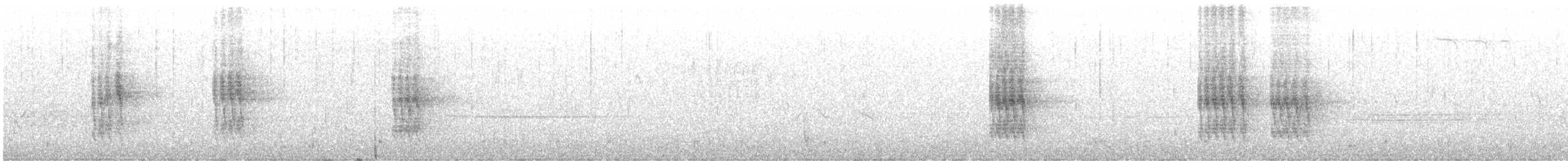 drozd pruhokřídlý - ML638196076